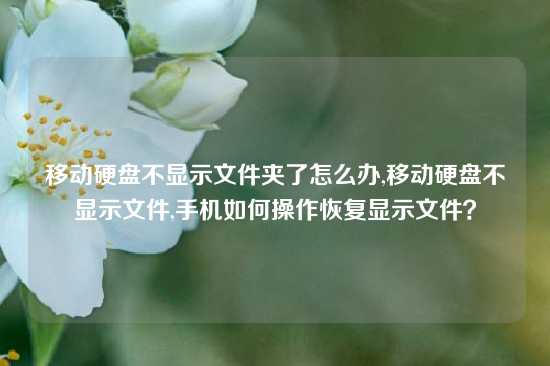 移动硬盘不显示文件夹了怎么办,移动硬盘不显示文件,手机如何操作恢复显示文件？