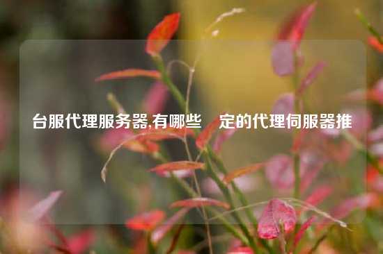 台服代理服务器,有哪些穩定的代理伺服器推薦