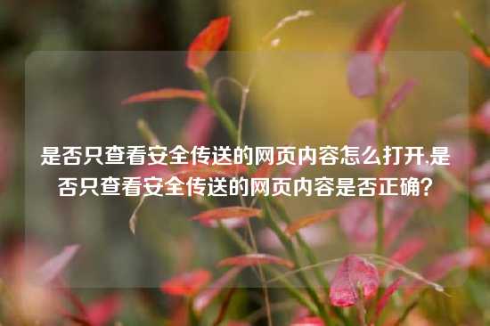是否只查看安全传送的网页内容怎么打开,是否只查看安全传送的网页内容是否正确？