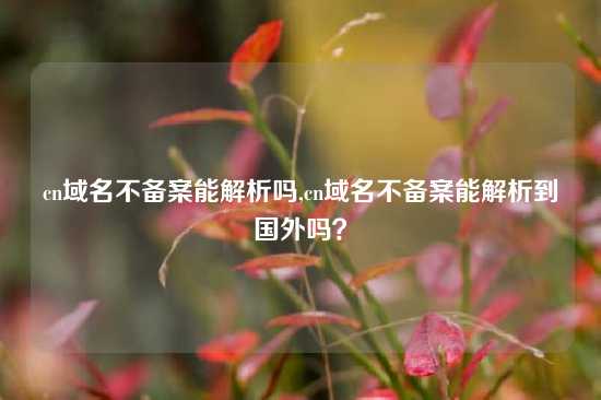 cn域名不备案能解析吗,cn域名不备案能解析到国外吗？