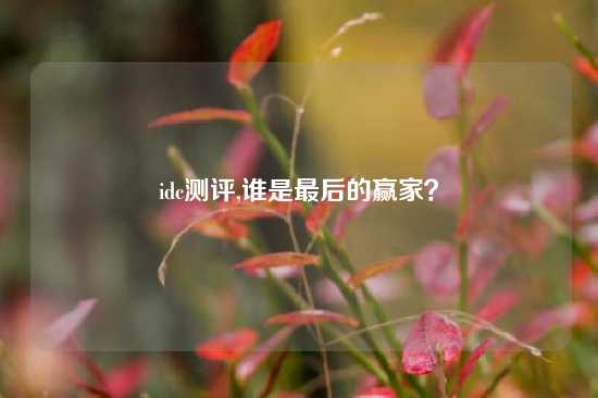idc测评,谁是最后的赢家？