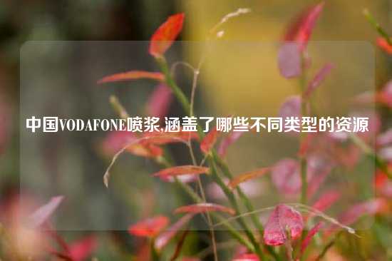 中国VODAFONE喷浆,涵盖了哪些不同类型的资源
