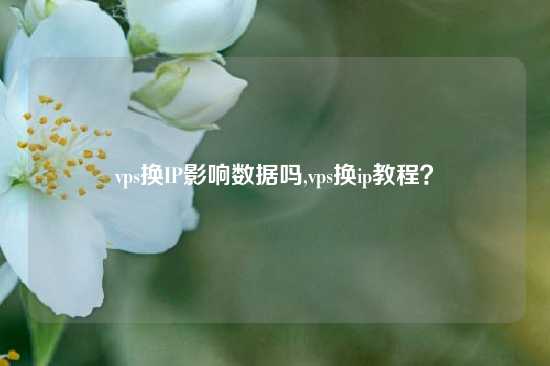 vps换IP影响数据吗,vps换ip教程？