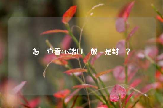 怎樣查看445端口開放還是封閉？