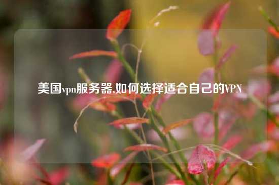 美国vpn服务器,如何选择适合自己的VPN