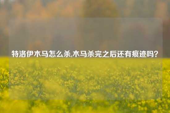 特洛伊木马怎么杀,木马杀完之后还有痕迹吗？