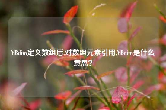 VBdim定义数组后,对数组元素引用,VBdim是什么意思？