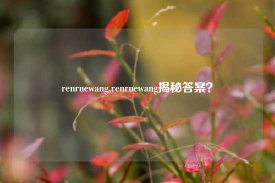 renrnewang,renrnewang揭秘答案？