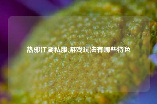 热邪江湖私服,游戏玩法有哪些特色