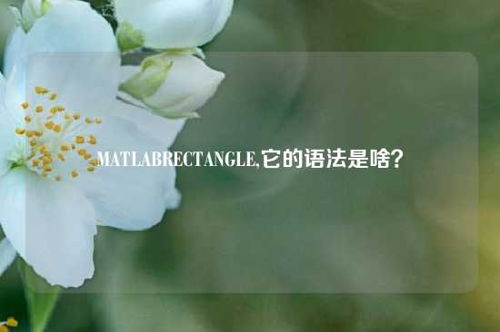 MATLABRECTANGLE,它的语法是啥？