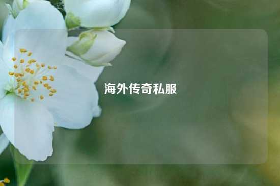 海外传奇私服