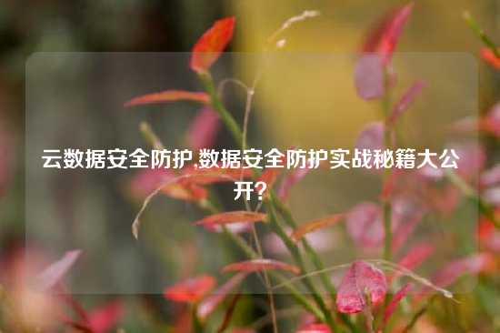 云数据安全防护,数据安全防护实战秘籍大公开？