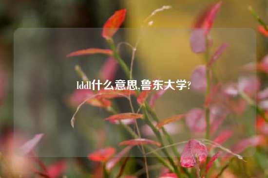 lddl什么意思,鲁东大学?