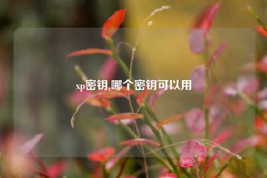 xp密钥,哪个密钥可以用
