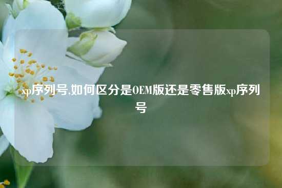 xp序列号,如何区分是OEM版还是零售版xp序列号