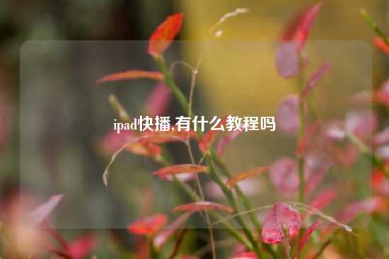 ipad快播,有什么教程吗