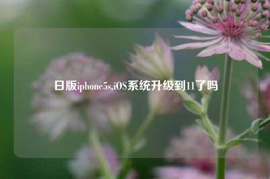 日版iphone5s,iOS系统升级到11了吗