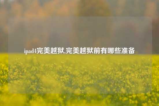 ipad4完美越狱,完美越狱前有哪些准备