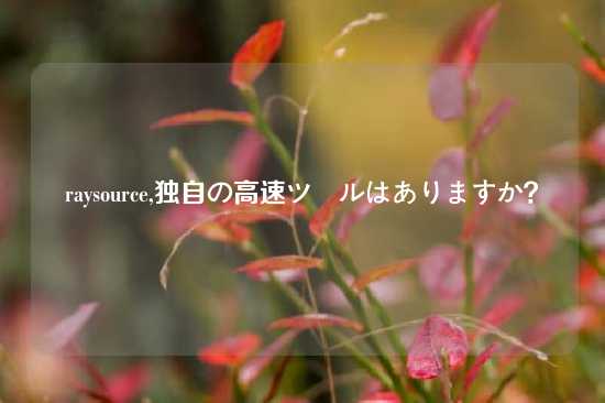 raysource,独自の高速ツールはありますか？