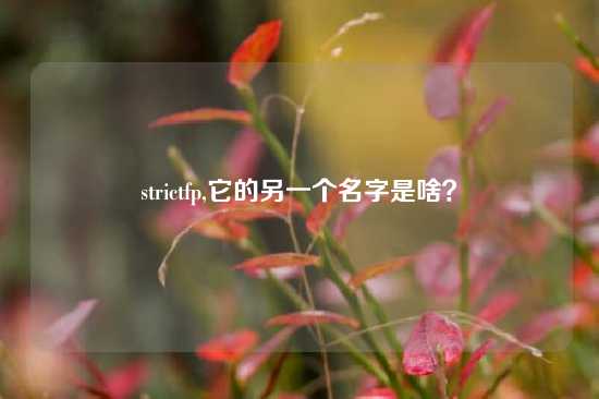 strictfp,它的另一个名字是啥？