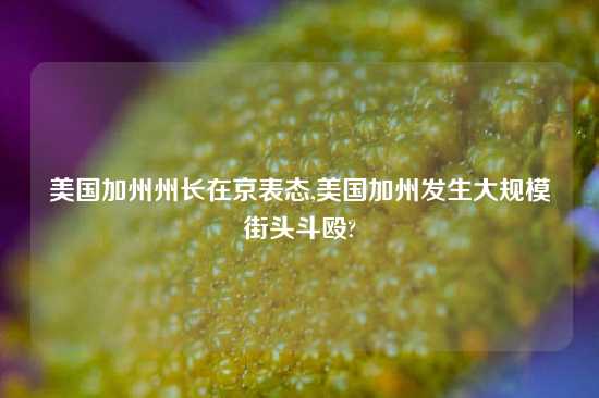 美国加州州长在京表态,美国加州发生大规模街头斗殴?