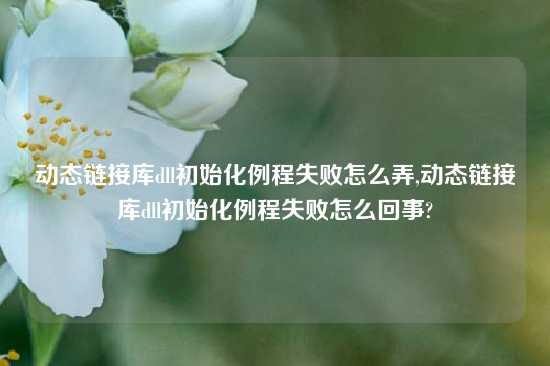 动态链接库dll初始化例程失败怎么弄,动态链接库dll初始化例程失败怎么回事?