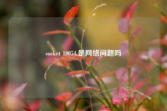 socket 10054,是网络问题吗