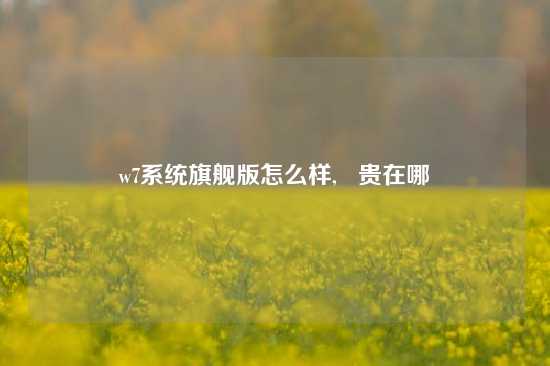 w7系统旗舰版怎么样,   贵在哪