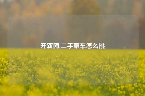 开新网,二手豪车怎么挑