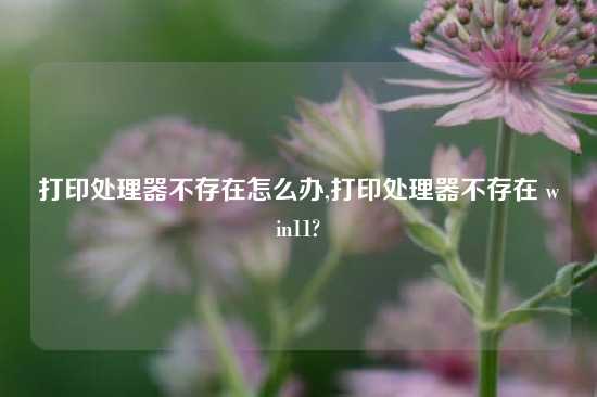 打印处理器不存在怎么办,打印处理器不存在 win11?
