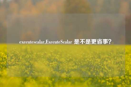 executescalar,ExecuteScalar 是不是更省事？