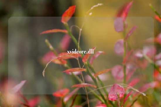 xvidcore.dll