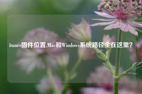 itunes固件位置,Mac和Windows系统路径全在这里？