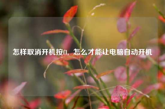 怎样取消开机按f1,  怎么才能让电脑自动开机
