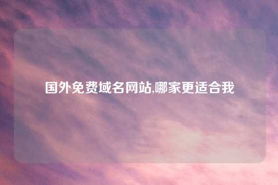国外免费域名网站,哪家更适合我