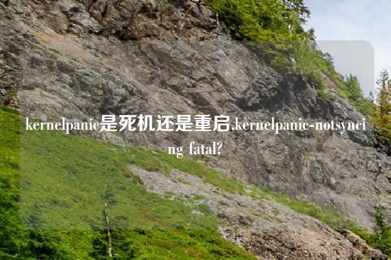 kernelpanic是死机还是重启,kernelpanic-notsyncing fatal?