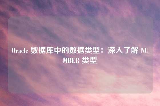 Oracle 数据库中的数据类型：深入了解 NUMBER 类型