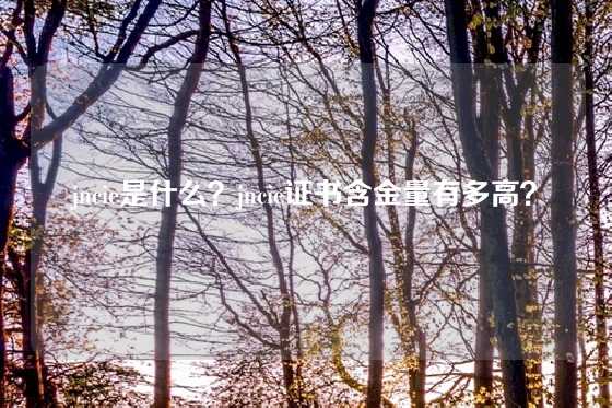 jncie是什么？jncie证书含金量有多高？