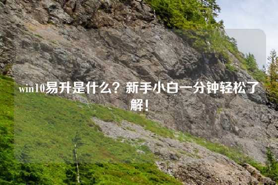 win10易升是什么？新手小白一分钟轻松了解！