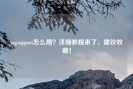 tagsupport怎么用？详细教程来了，建议收藏！