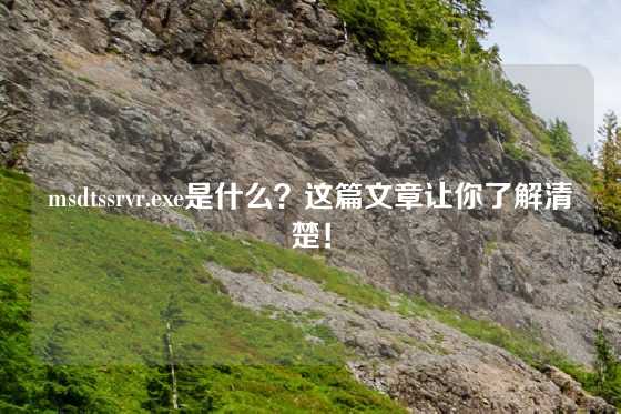 msdtssrvr.exe是什么？这篇文章让你了解清楚！