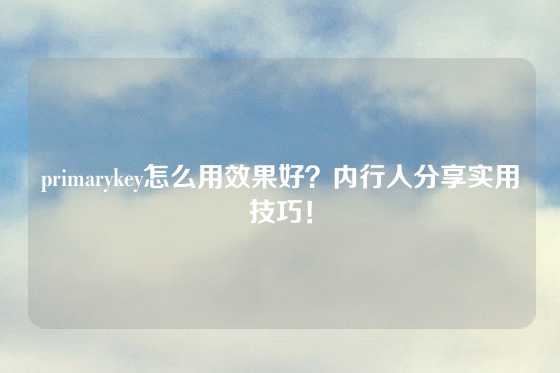 primarykey怎么用效果好？内行人分享实用技巧！