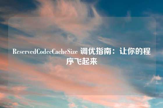 ReservedCodecCacheSize 调优指南：让你的程序飞起来