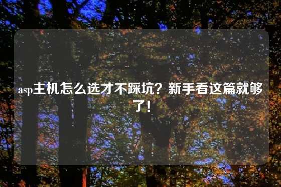 asp主机怎么选才不踩坑？新手看这篇就够了！