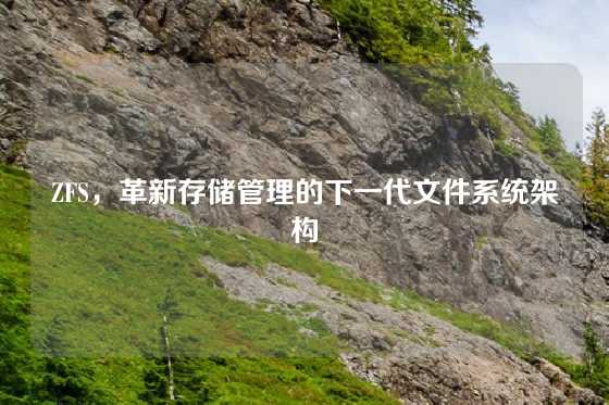 ZFS，革新存储管理的下一代文件系统架构