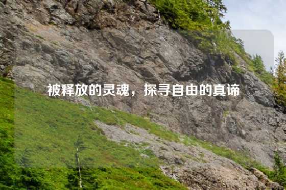 被释放的灵魂，探寻自由的真谛