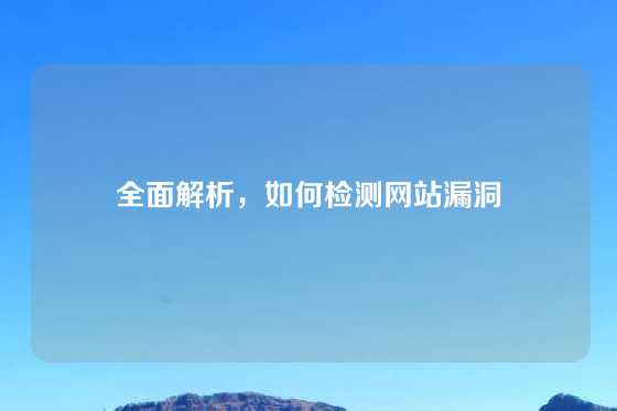 全面解析，如何检测网站漏洞