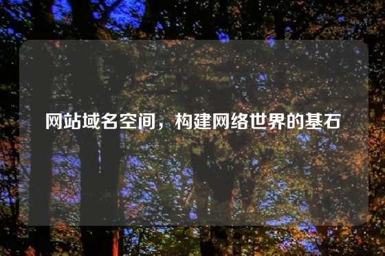 网站域名空间，构建网络世界的基石