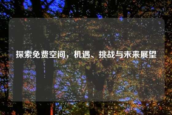 探索免费空间，机遇、挑战与未来展望