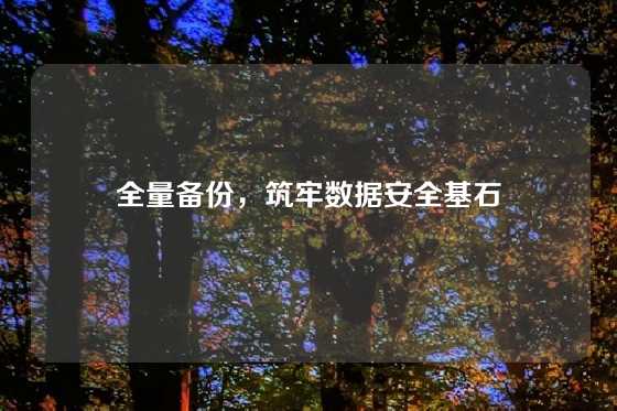 全量备份，筑牢数据安全基石